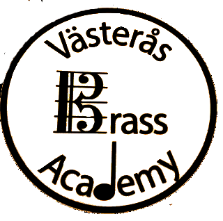 vba logo