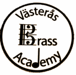 vba logo