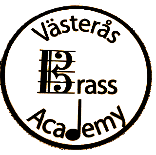 vba logo